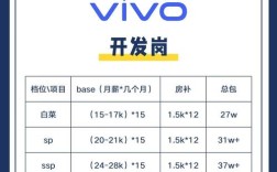 vivo校园招聘笔试题考什么？