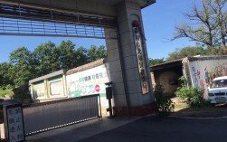 北塔区2025教师招聘何时开始？