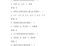 江苏中烟校招笔试考什么？