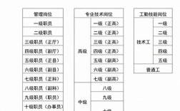 管理岗与技术岗如何选择？