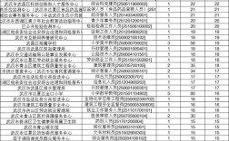 武汉事业单位报名人数创新高了吗？