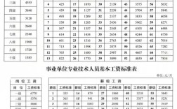 事业单位新招录人员工资标准是多少？