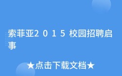 索菲亚校面经验？面试官最看重什么？