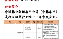 木林森2025校招有哪些岗位？