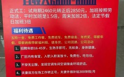 双城区事业单位招聘开启？最新岗位有哪些？报名条件是什么？