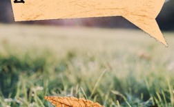 新世界地产海口校招，有哪些岗位机会？