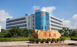 广东陈李济药厂校招有何岗位与要求？