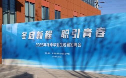 青岛港2025校园招聘