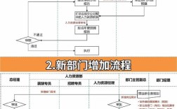TCL2025校招流程是怎样的？