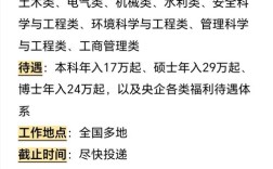 2025夏校招何时启动？岗位有何新变化？