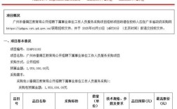 番禺区2025教师招聘何时启动？