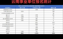 大理州事业单位报名人数创新高？