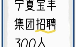 宁夏2025校招何时启动？有哪些岗位值得关注？
