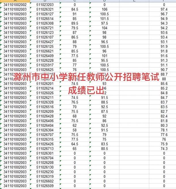 2025安徽教师招聘考试成绩排名何时公布?-图3 2025安徽教师招聘考试成绩排名何时公布?-图3