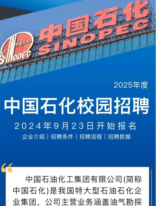 shell2025校招何时启动?岗位有哪些要求?-图3 shell2025校招何时启动?岗位有哪些要求?-图3