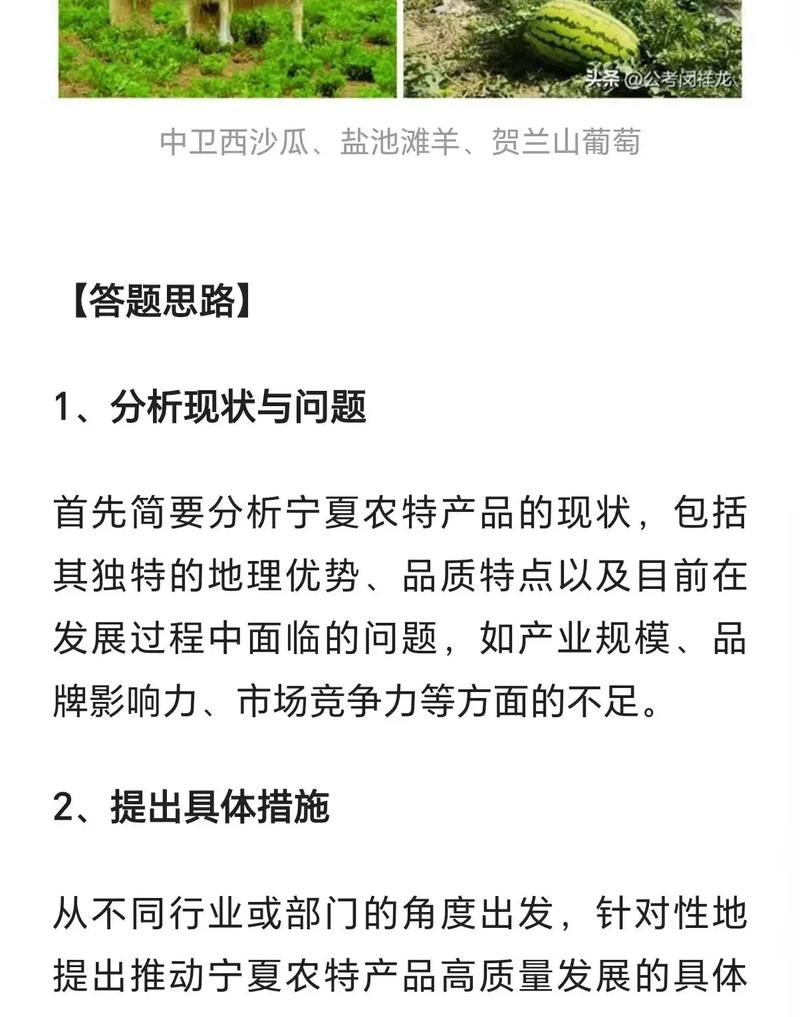 2025宁夏事业单位面试真题考什么?-图1 2025宁夏事业单位面试真题考什么?-图1