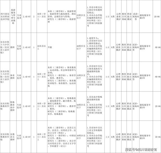 宜宾事业单位招聘2025岗位表-图2 宜宾事业单位招聘2025岗位表-图2