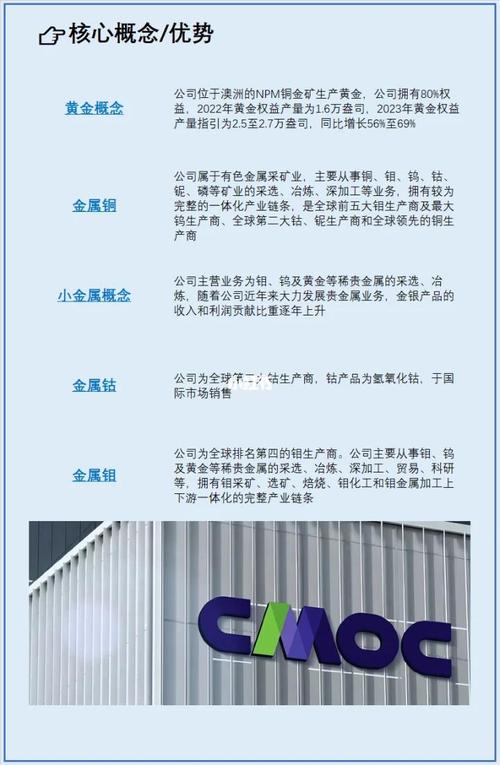 洛阳钼业校园招聘有哪些岗位？-图2