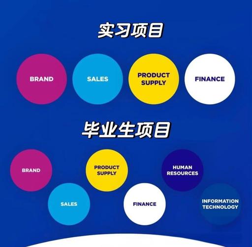 宝洁校招弊端何在？-图1