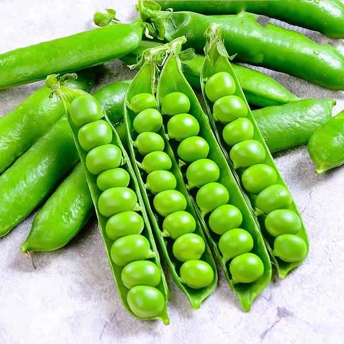 豌豆荚2025校园招聘-图1