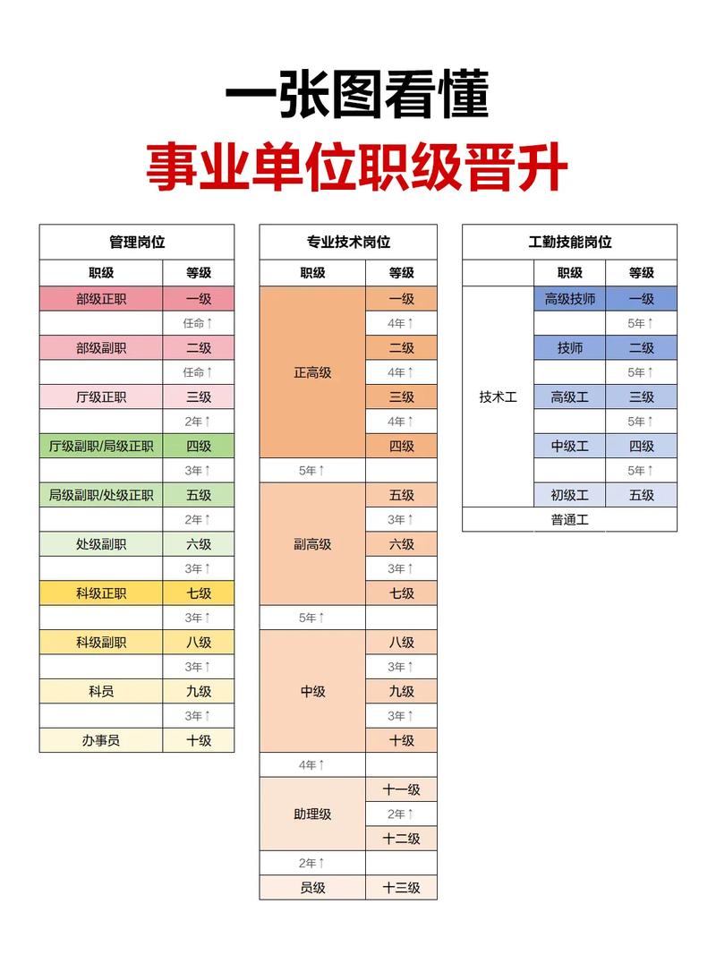 事业单位管理岗位职员等级晋升-图1