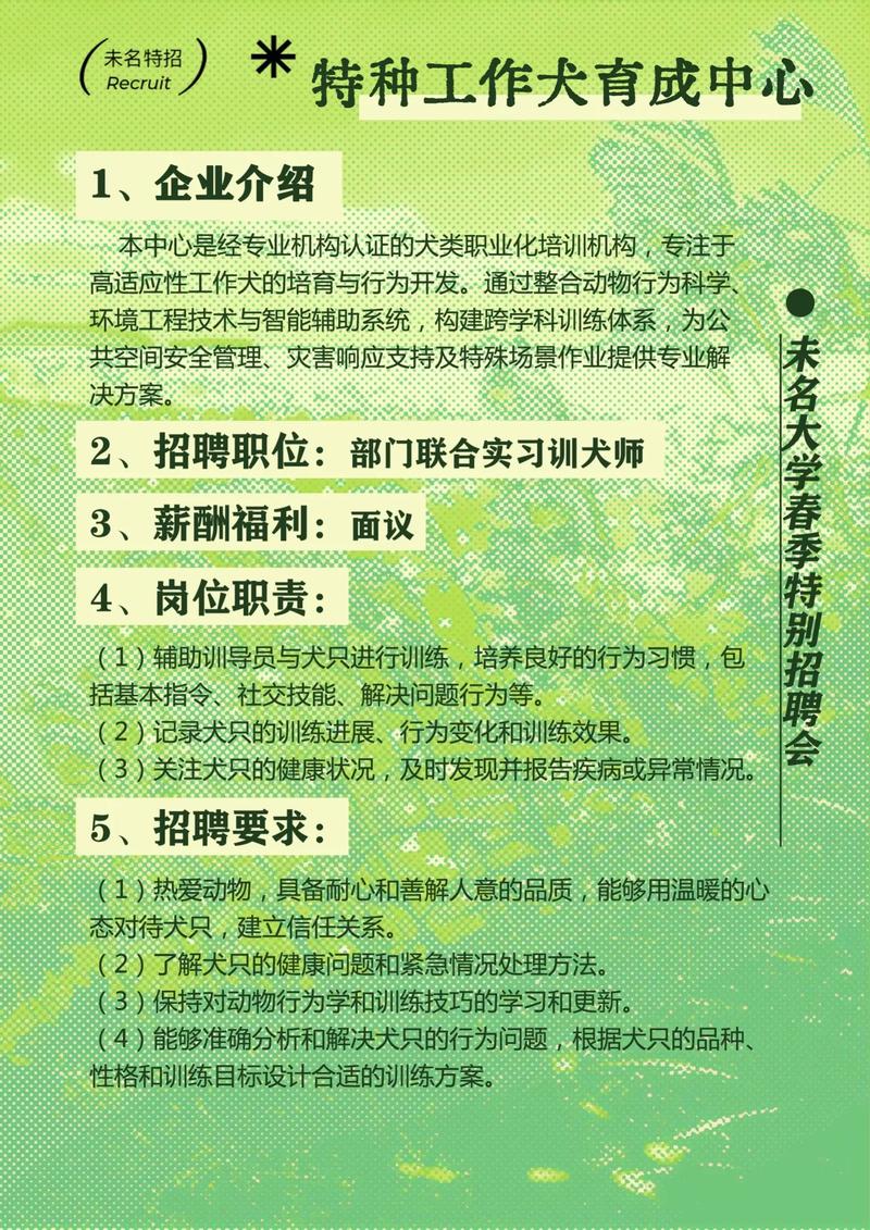 为什么外企喜欢校园招聘-图1