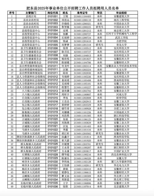 肥东事业单位招聘2025-图1