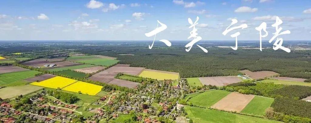 商丘事业单位招聘2025-图2