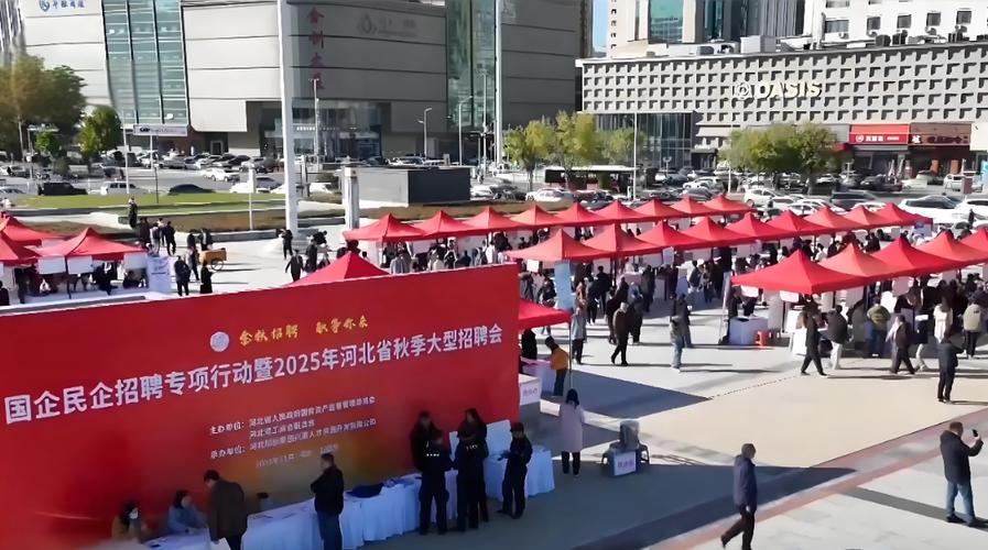河北2025校园招聘会有哪些岗位？-图1