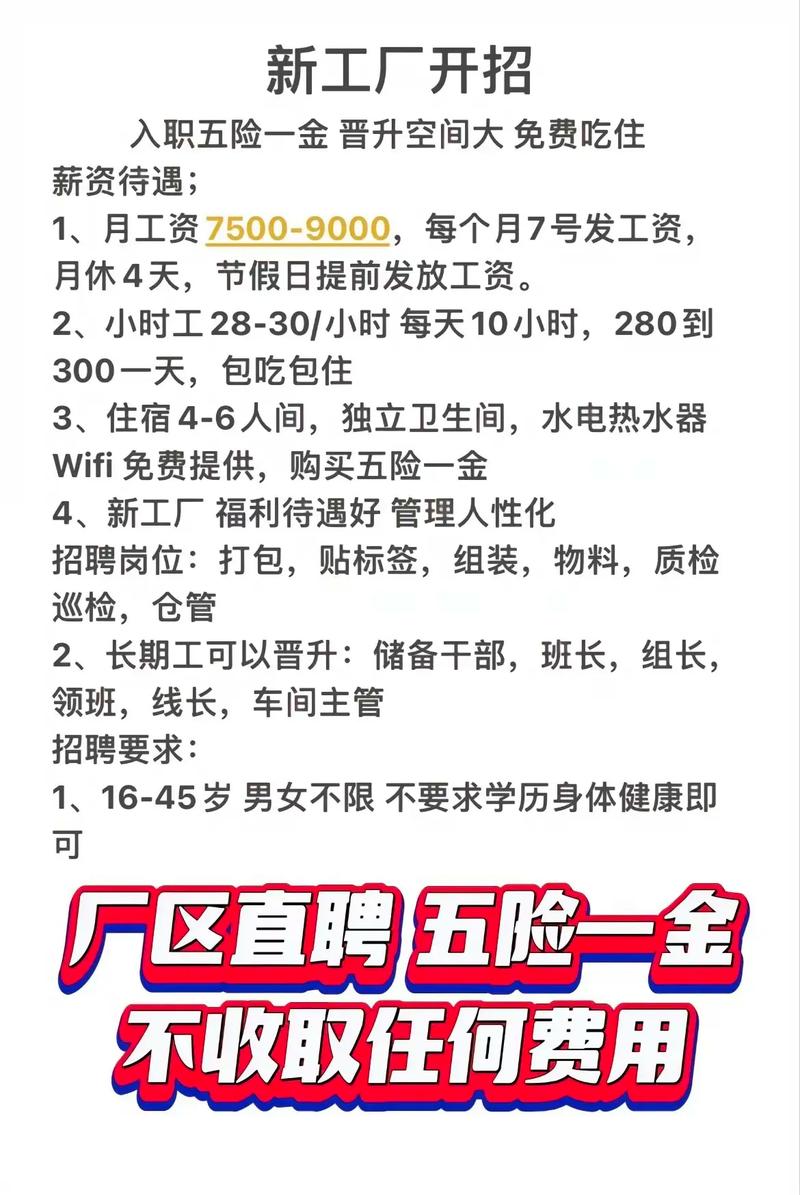 河南义马气化厂校招有何岗位与要求？-图1