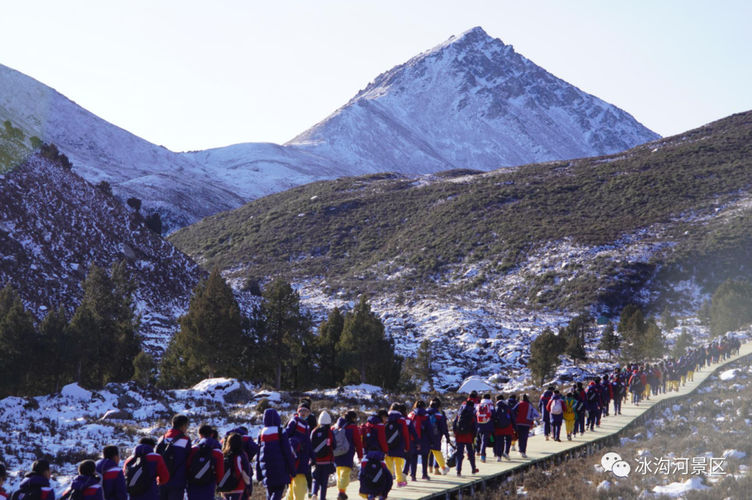 兰州碧桂园学校校招有何岗位要求？-图3