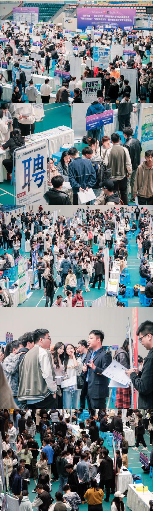 2025吉林省校园招聘何时启动？-图3