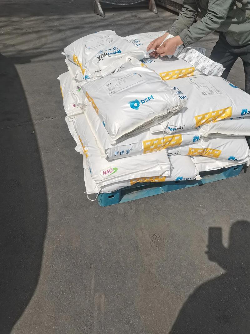 帝斯曼2025校招有何新亮点？-图2