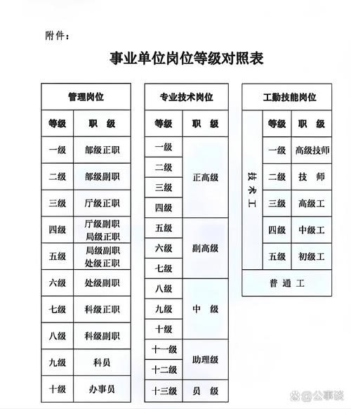 事业单位专业技术岗位等级如何划分？-图3