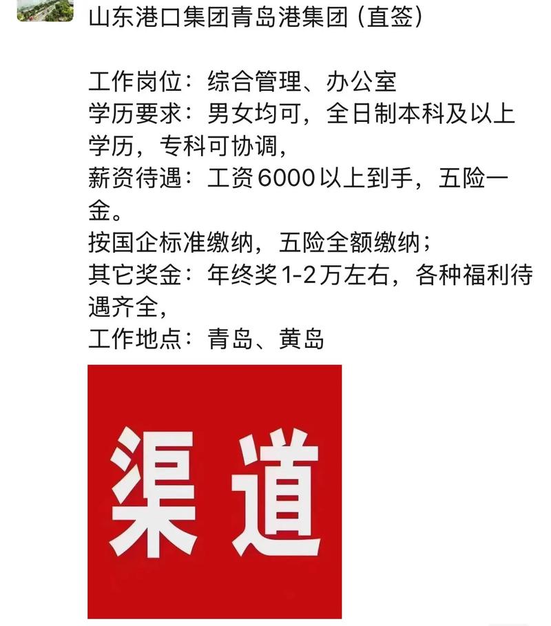 青岛港2025校园招聘-图3