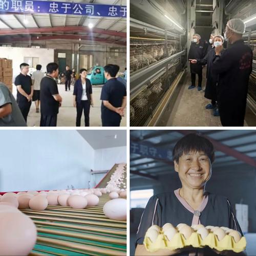 曲周县2025教师招聘何时启动？-图3