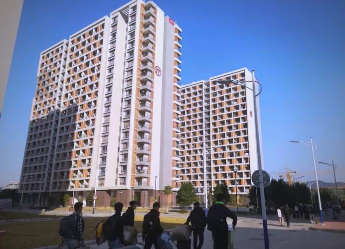 TCL惠州校招岗位有哪些？-图2