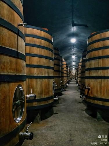 烟台张裕校园招聘，有哪些岗位值得关注？-图1