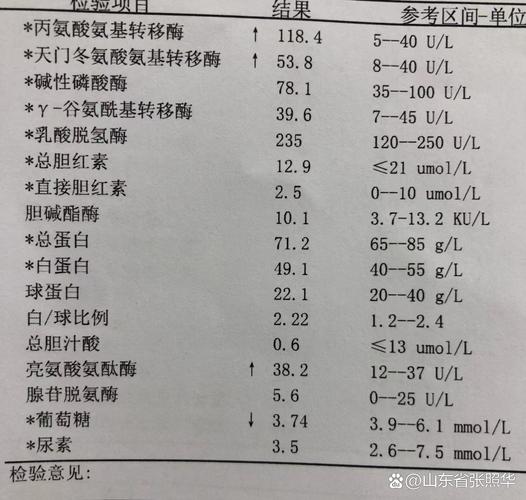 事业单位体检谷丙转氨酶-图2