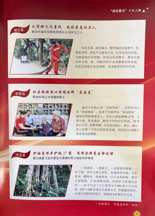 2025景洪事业单位何时招考？-图3