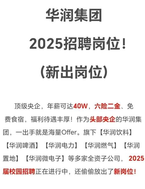阳光城2025校招，何时启动？岗位有哪些？-图3