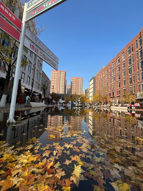 蓝光地产校园招聘大街有何亮点？-图1