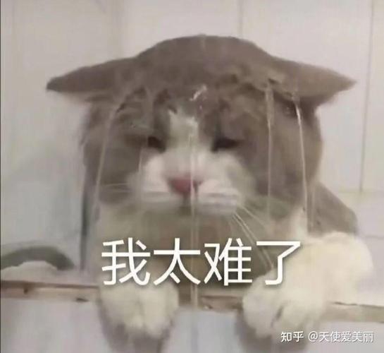 广东省事业单位统考面试，如何高效备考？-图3